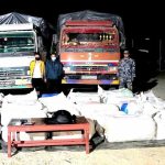 २ वटा ट्रकमा राखिएको १६३६ किलो गाँजासहित २ युवक पक्राउ